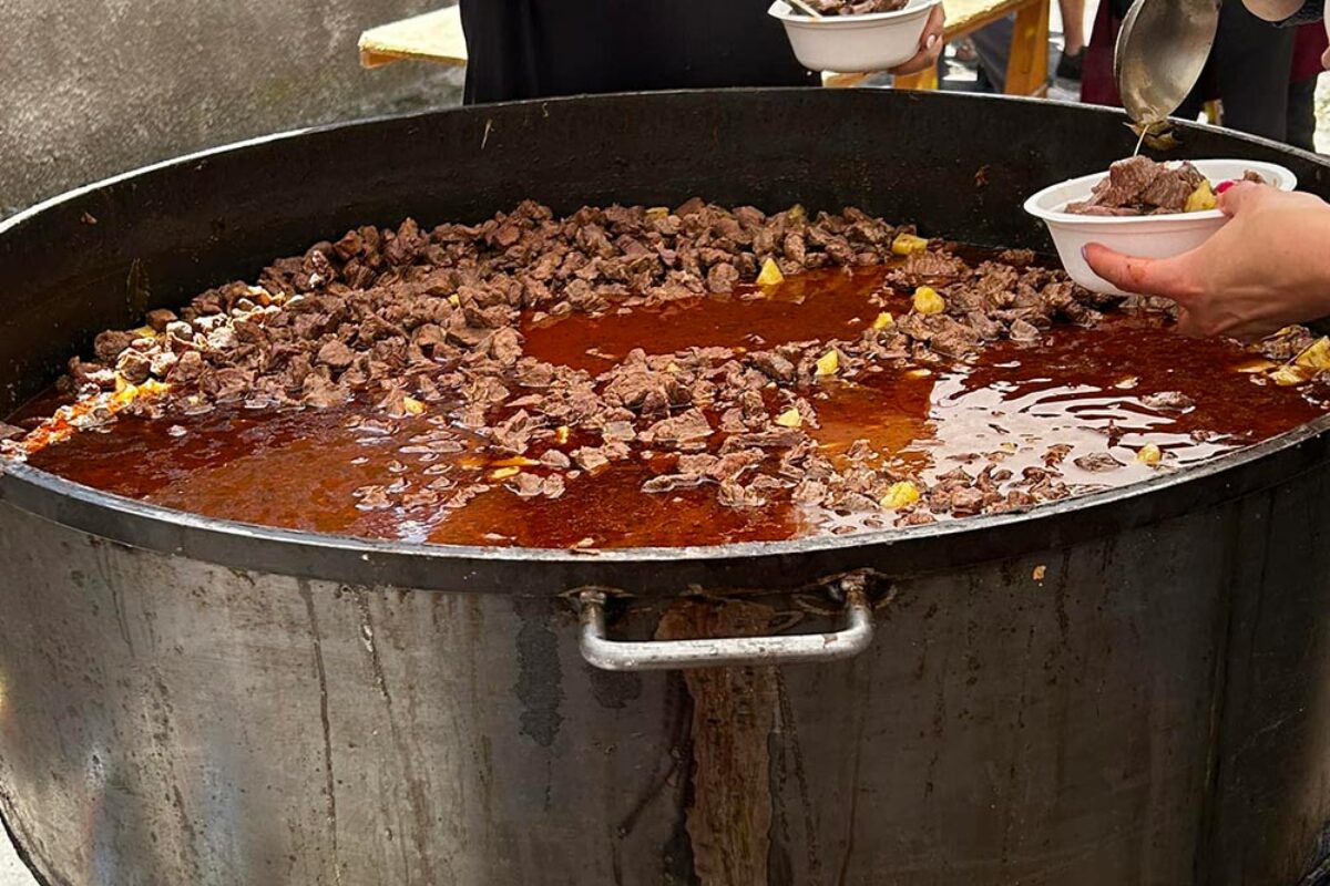 jornadas renacentistas de cebolla