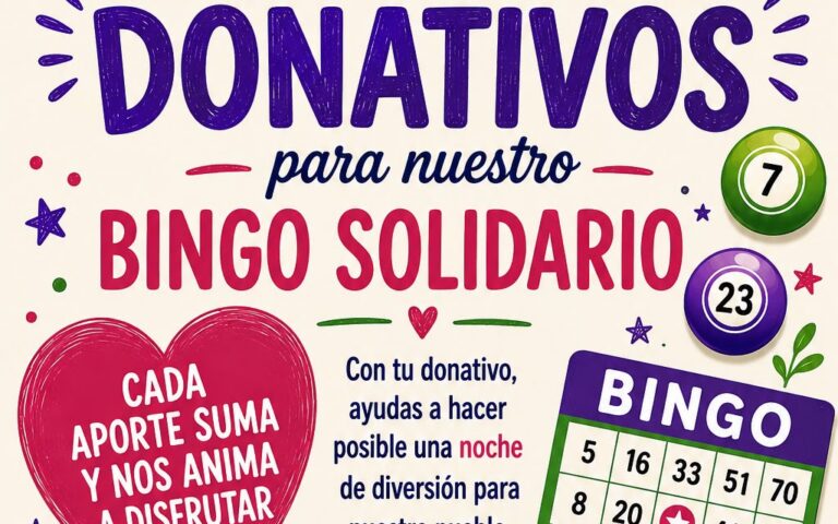 bingo solidario